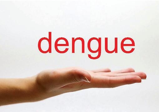 TCS partners with Danish Academy of Technical Sciences to combat dengue through technology